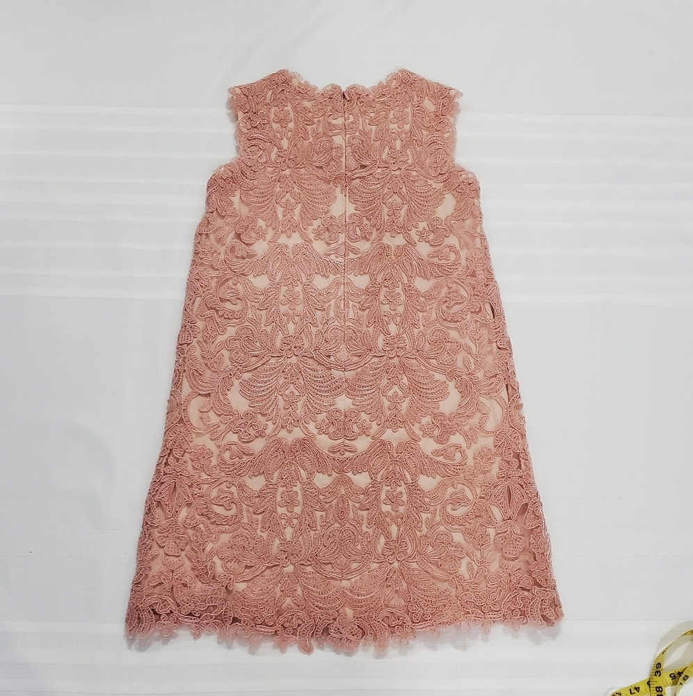 TADASHI SHOJI Girls Honeysuckle Corded Lace Dress Dusty Pink - Picture 5 of 10